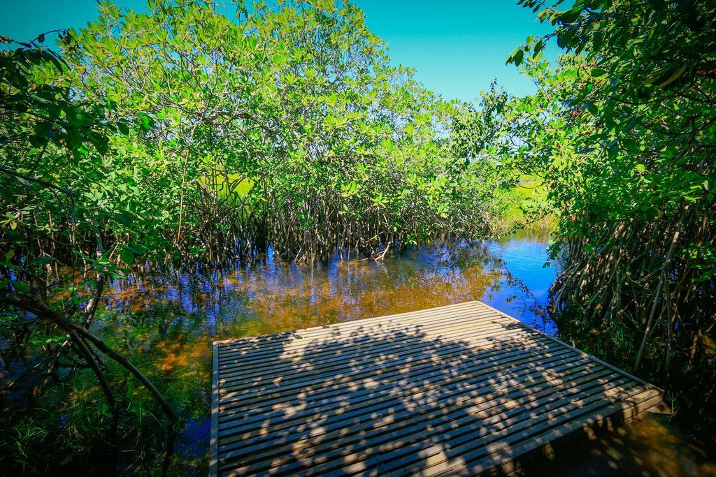 Pousada Ecologica Bangalo de Praia Itacimirim Ruang foto
