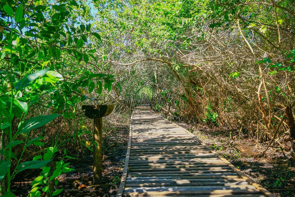 Pousada Ecologica Bangalo de Praia Itacimirim Ruang foto
